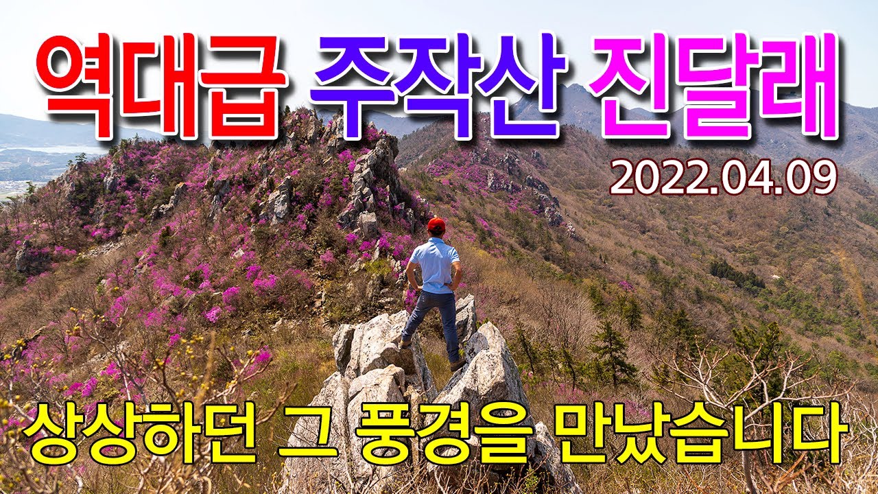역대급 주작산 진달래 산행/ 상상 그 이상의 풍경을 담았습니다.