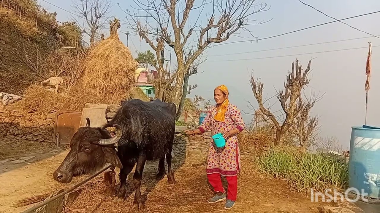 आज होली पर बनाई मन्दिर में पकोड़ी