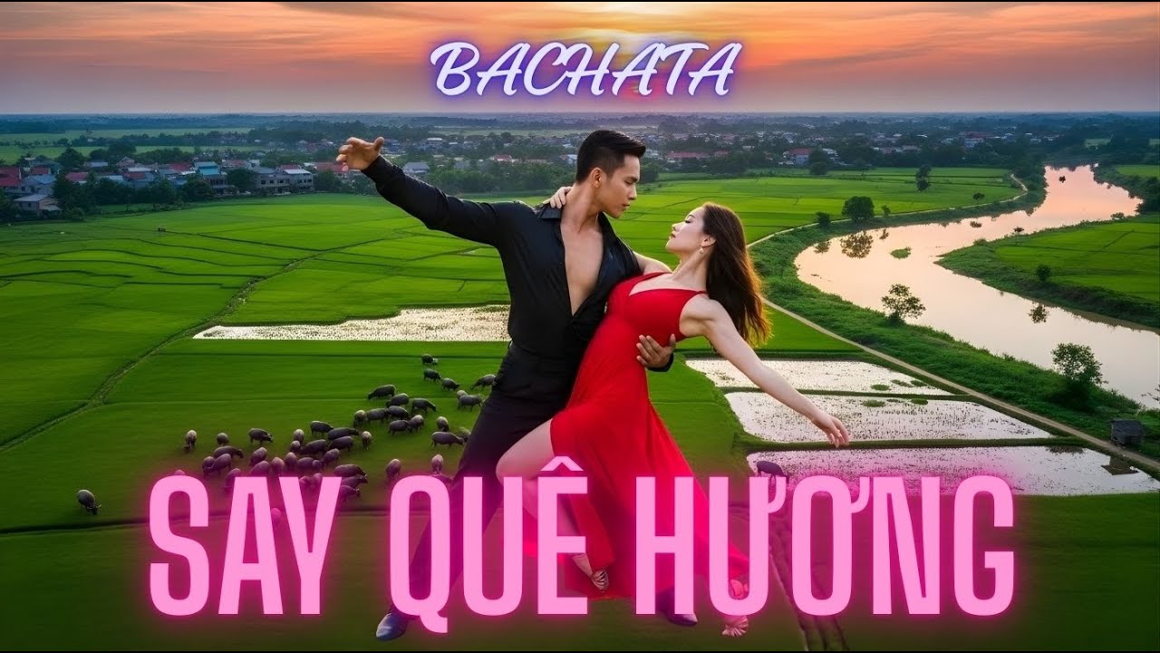 SoulRain | Say Qu&ecirc; Hương - Bachata Latin Fusion | Nhạc Việt Qu&ecirc; Hương 2025 #soulrain