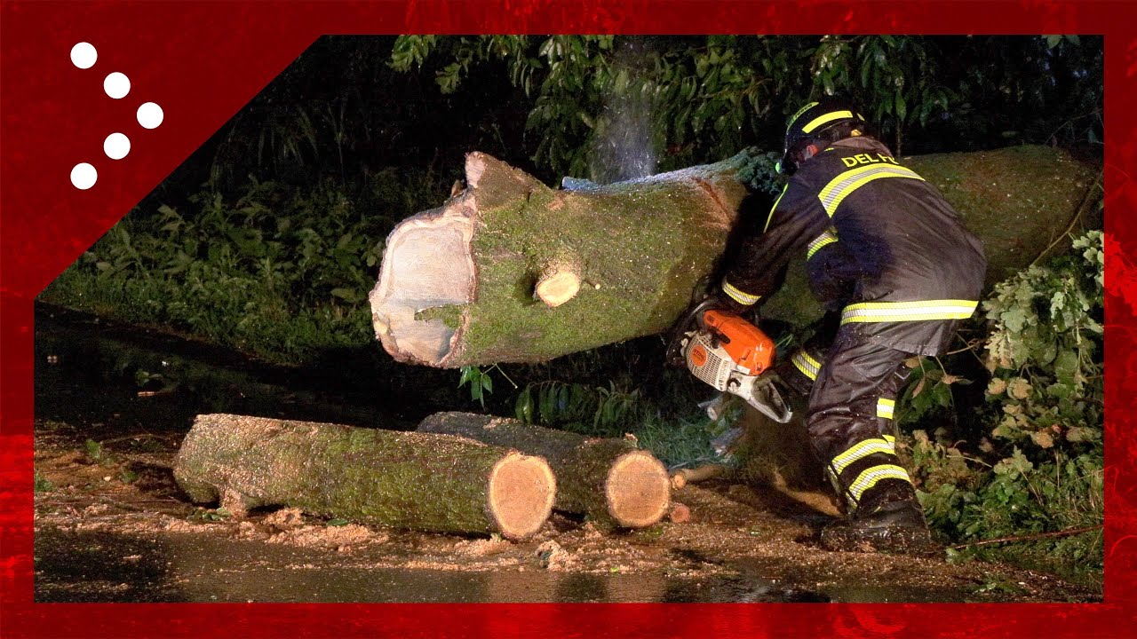 Maltempo, nuovi nubifragi nella notte in Lombardia. Alberi cadono lungo la SS366 a Somma Lombardo