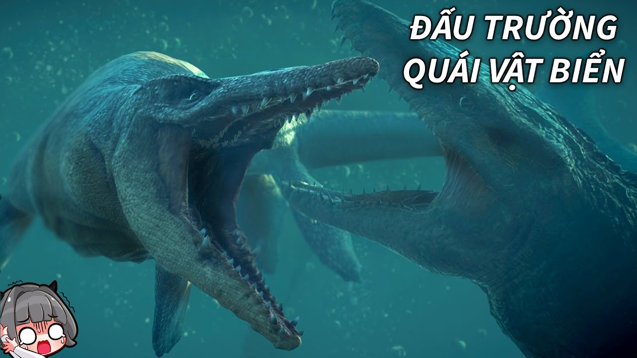 Đây Là ĐẤU TRƯỜNG QUÁI VẬT BIỂN | GNDTT