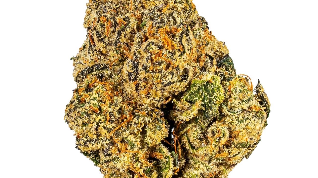 Gushers | Strain Review
