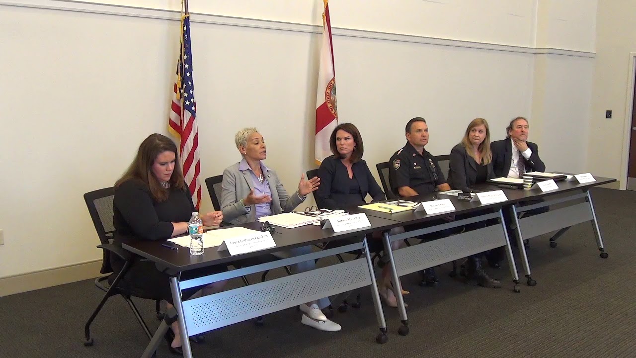 SAO4 Civil Citation Panel Review | May 9, 2019