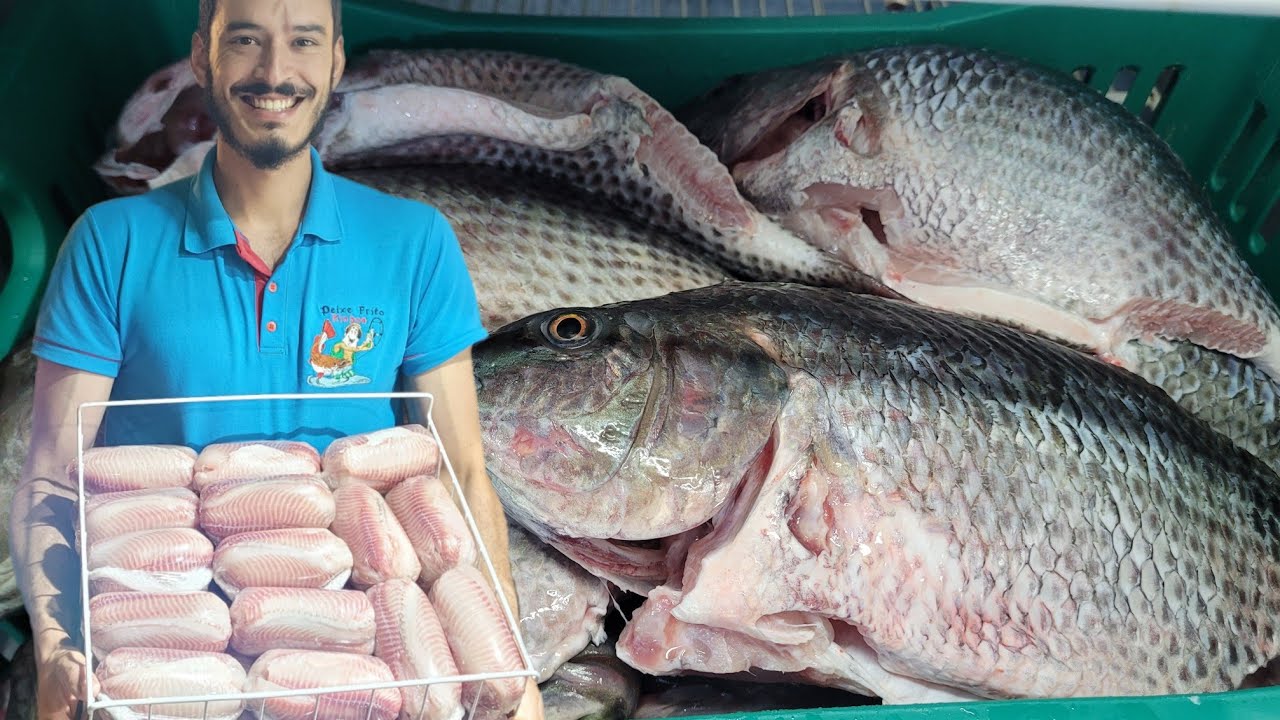 FILETAGEM DE TILAPIA, E O MELHOR JEITO DE EMBALAR PARA VENDA, passo a passo #filedetilapia