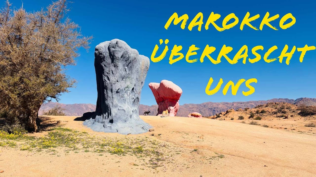 Mandelblüte im Antiatlas 🌸 Unsere Traumfahrt nach Tafraoute | Marokko Roadtrip
