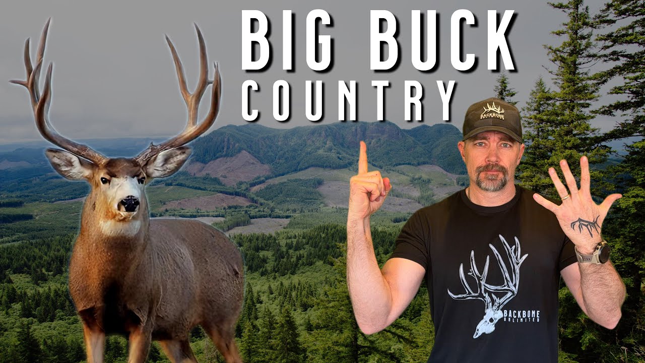 How to Read a MULE DEER Basin in 5 Minutes | Find Public Land Bucks Fast