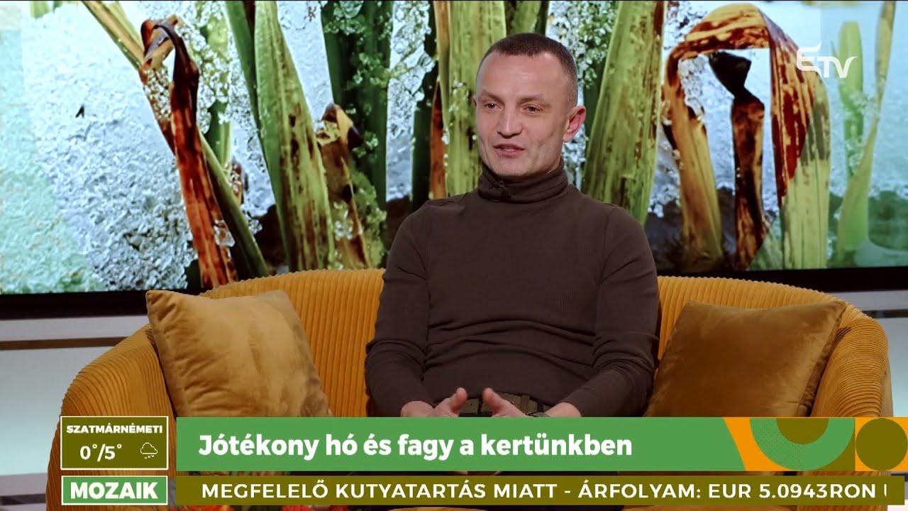 Jótékony hó és fagy a kertünkben – Mozaik