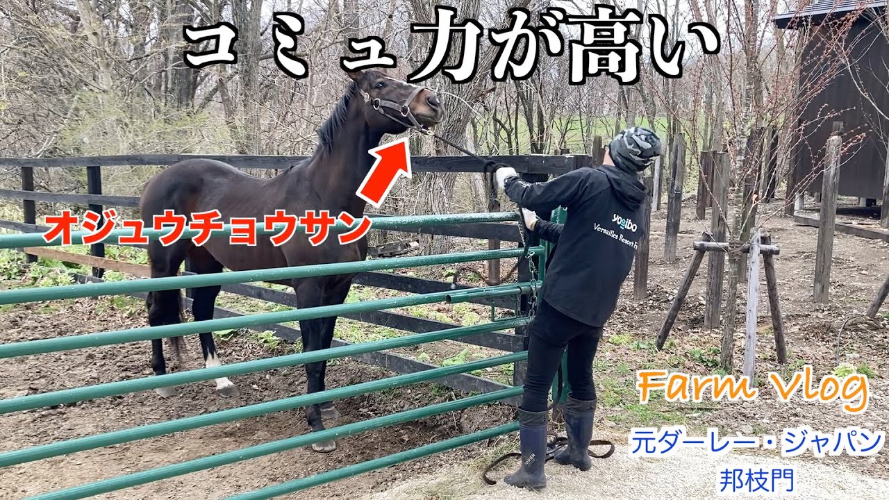 【オジュウチョウサン】コミュ力が高い！？41選