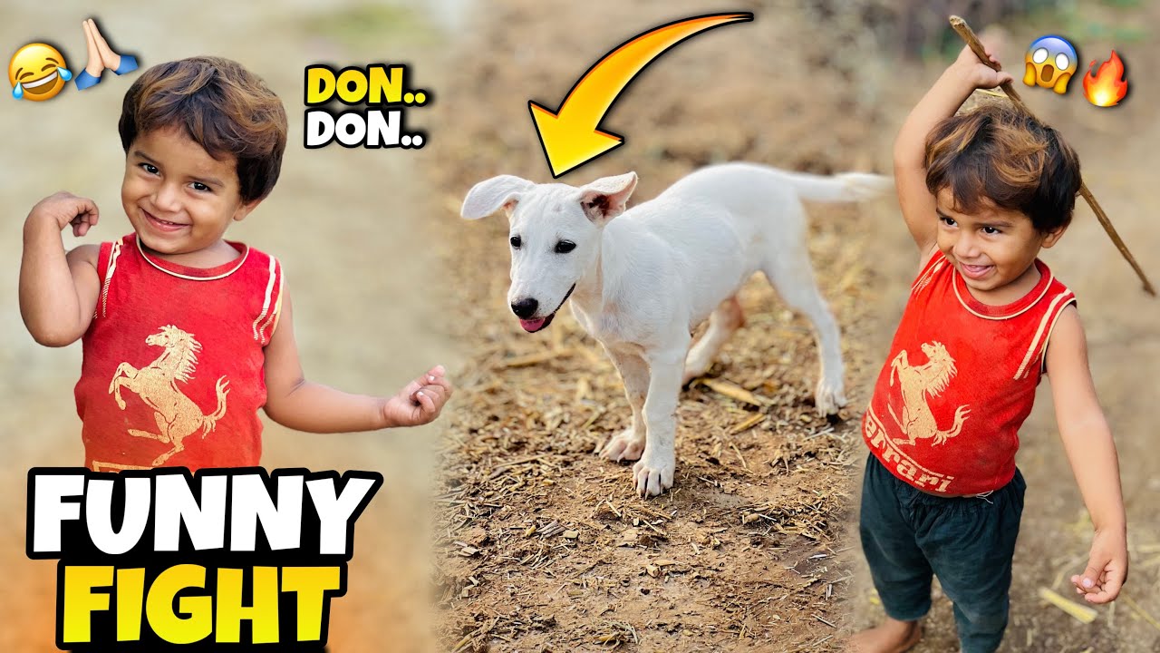Chota Dog Aur Chota Don Ki Khatarnaak Ladai 🤣🐶🔥….