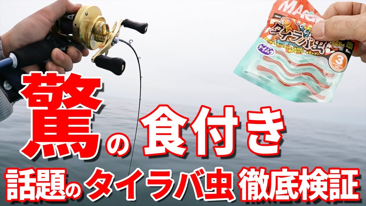 驚異の食付き！話題のワーム タイラバ虫がタイラバの新たな可能性を切り拓く