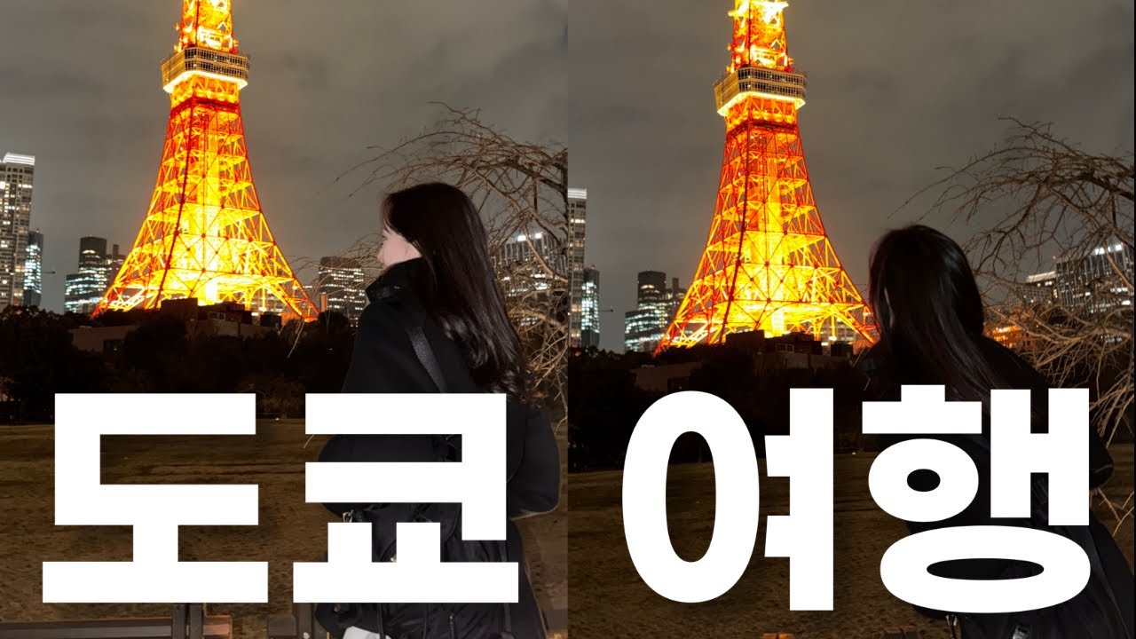 V-LOGㅣ일본 도쿄 여행🇯🇵ㅣ팀랩 플래닛ㅣ디즈니씨ㅣ긴자 야끼니꾸 맛집ㅣ도쿄 카페