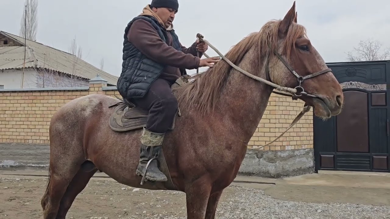 Чыкты сатылды  
