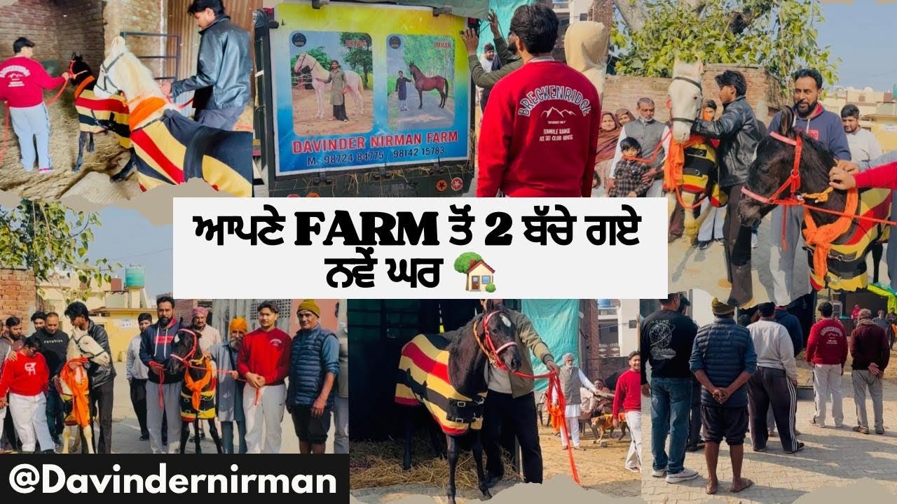 ਆਪਣੇ ਫਾਰਮ ਤੋਂ 2 ਬਚੇ ਗਏ ਨਵੇਂ ਘਰ 🏠 