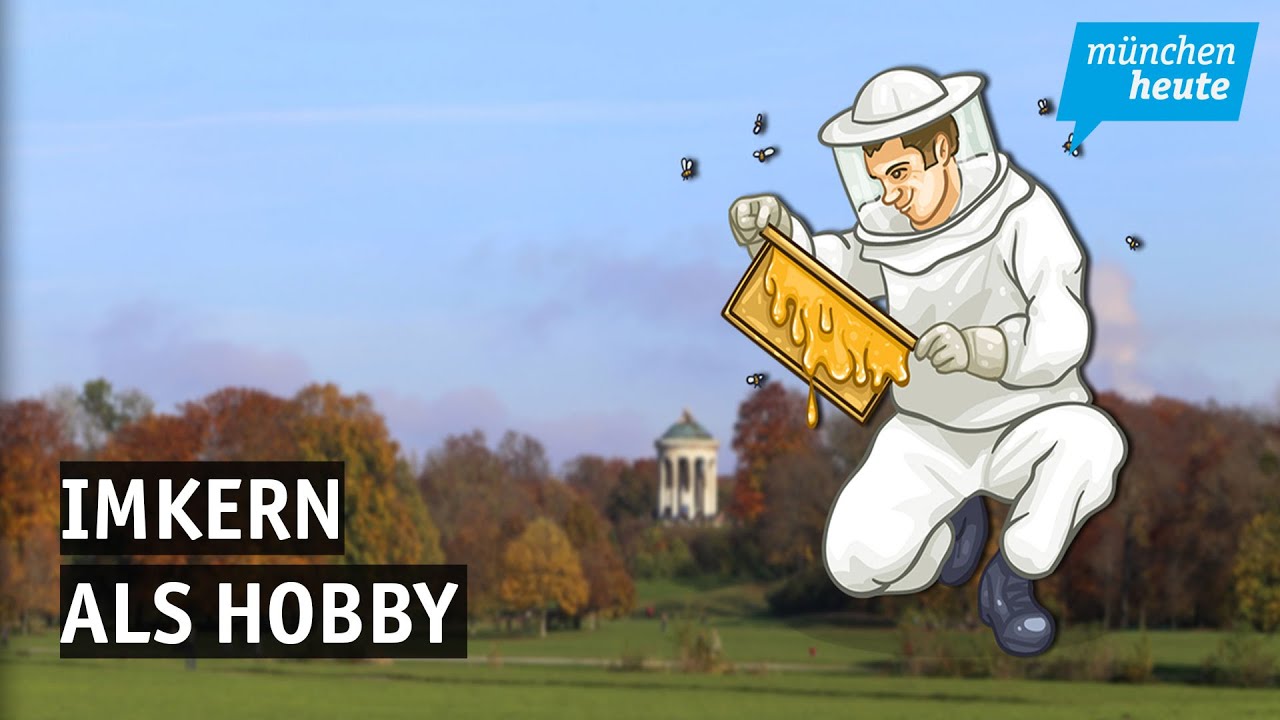 Imkern als Hobby - der Imkerverein in Thalkirchen bietet den Einstieg