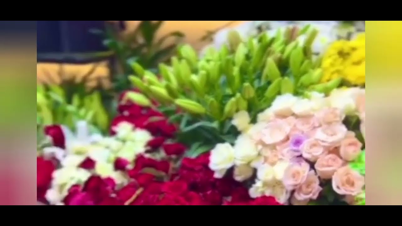 ሄሉ ኤሪክን እዳትጓጃው@Helutube-30 @Jossey27 @Endi_relaxe99 