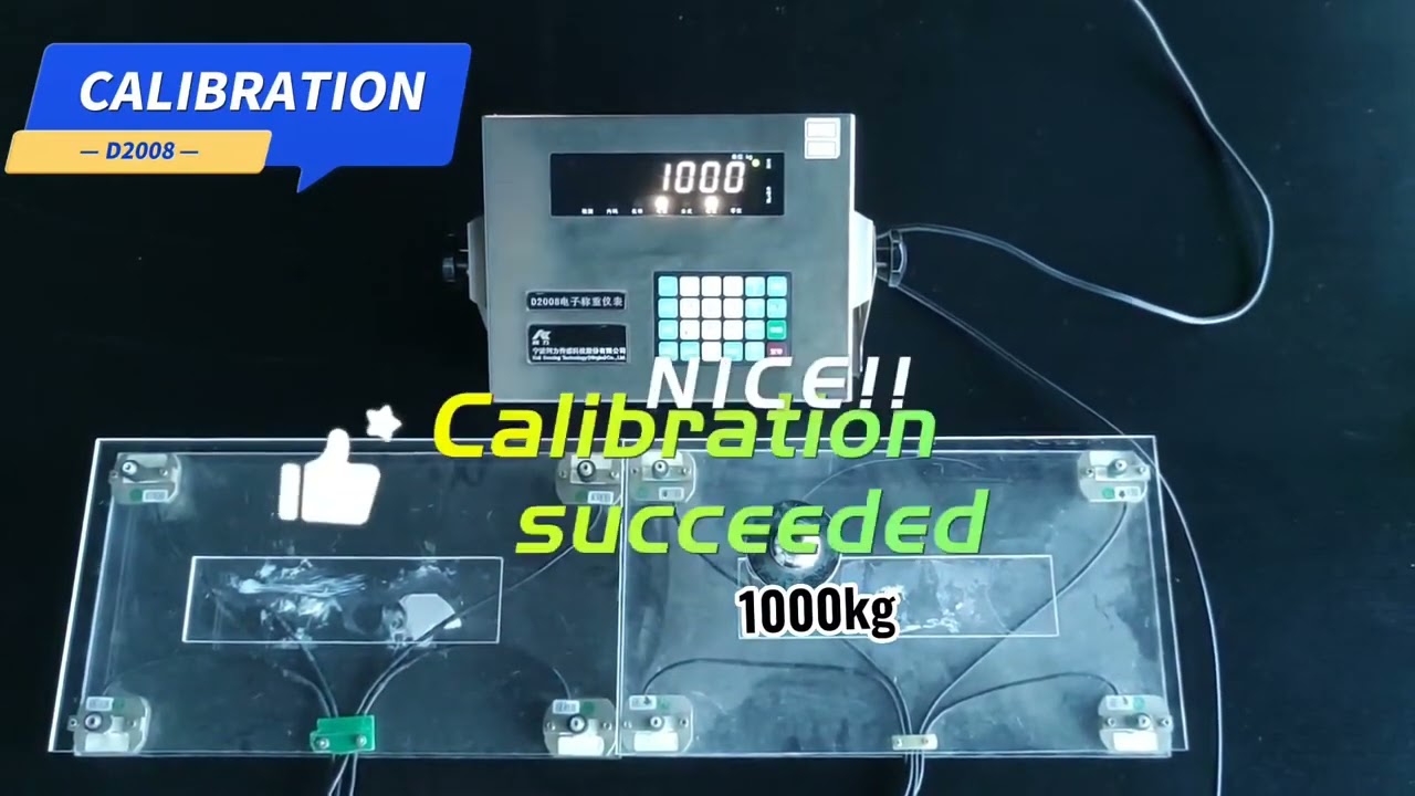 Keli sensing D2008H Indicator call03000833863