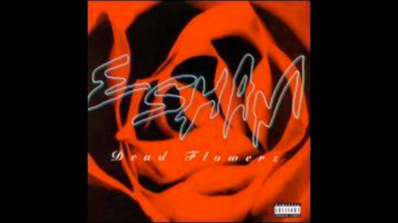If I Can't Have You - Esham