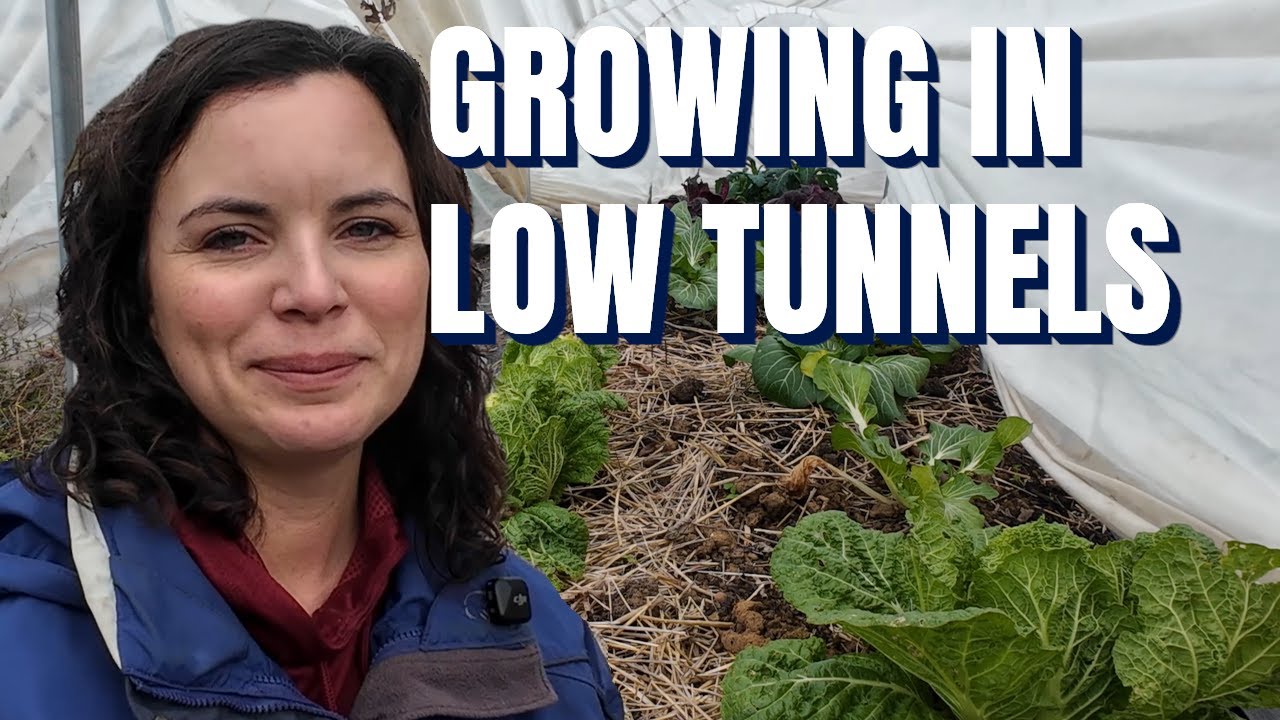 Crops That SURVIVED the early season cold in Low Tunnels (And What FAILED!)