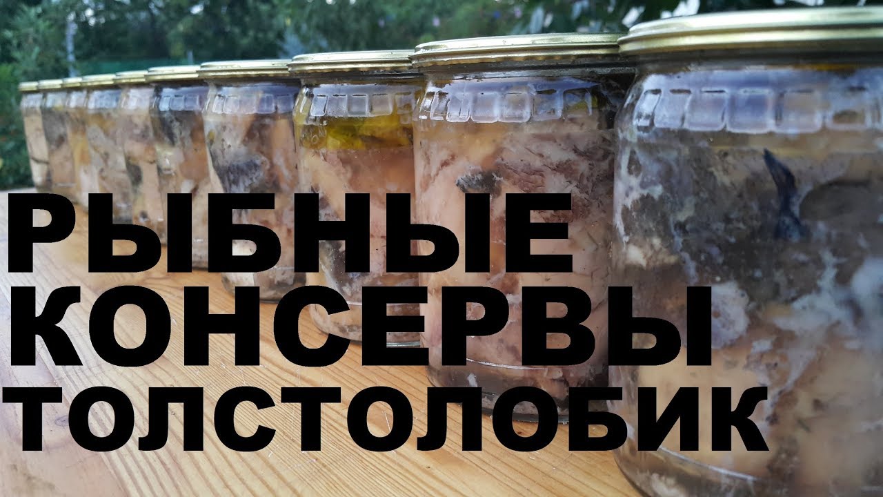 КОНСЕРВЫ РЫБНЫЕ ИЗ ТОЛСТОЛОБИКА В ДОМАШНИХ УСЛОВИЯХ РЕЦЕПТЫ СЮФ