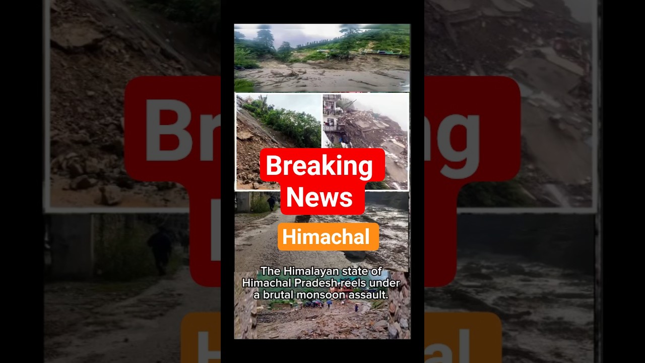 Himachal is devastated by flash floods #prayforhimachal #flashflood #cloudburst #shimlanews #shimla