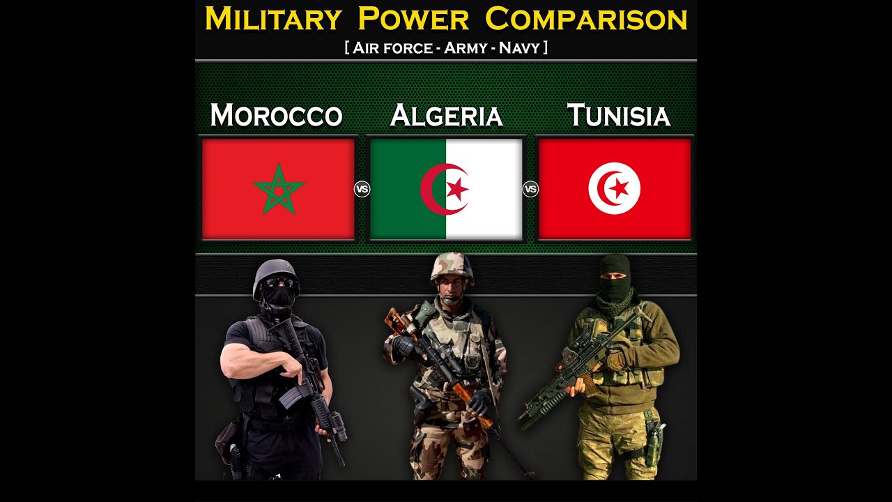 Morocco vs Algeria vs Tunisia | Military Power Comparison 2024 | Global Power