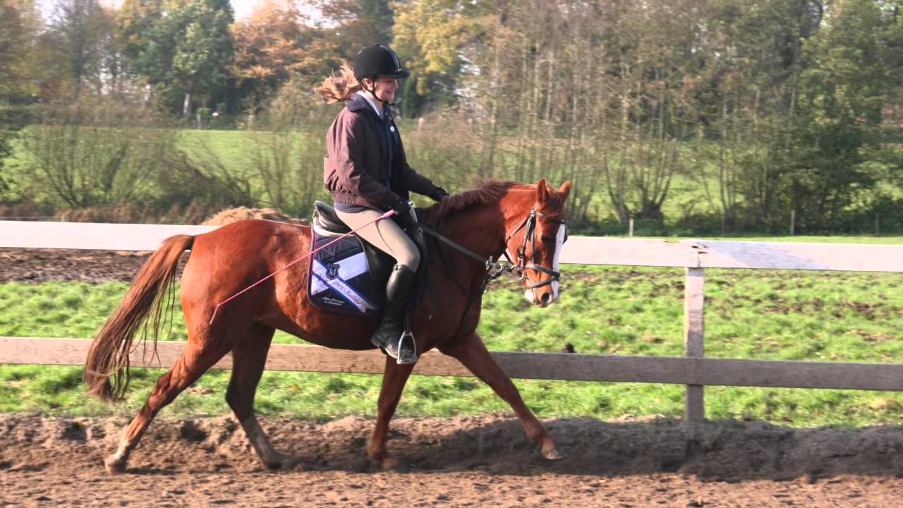 V.U.P Reiterhof Mariental Herbst ´15