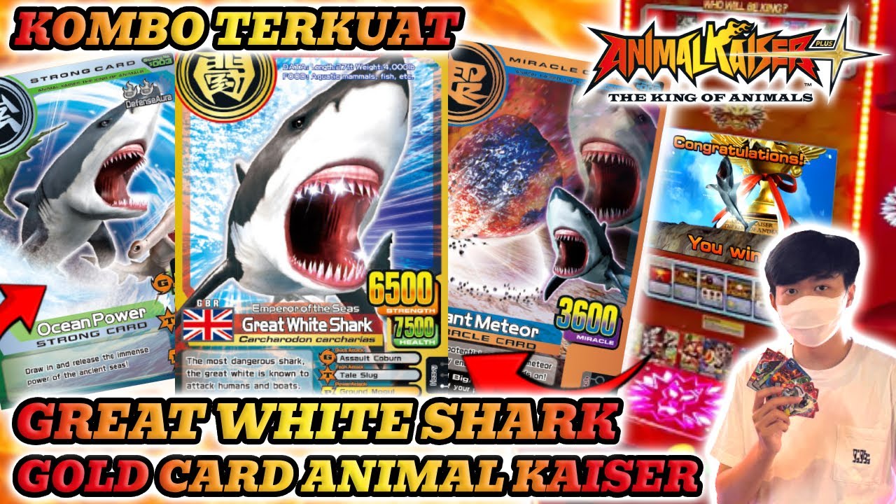 KOMBO TERKUAT GREAT WHITE SHARK DI ANIMAL KAISER PLUS !!! - AK PLUS INDONESIA #35