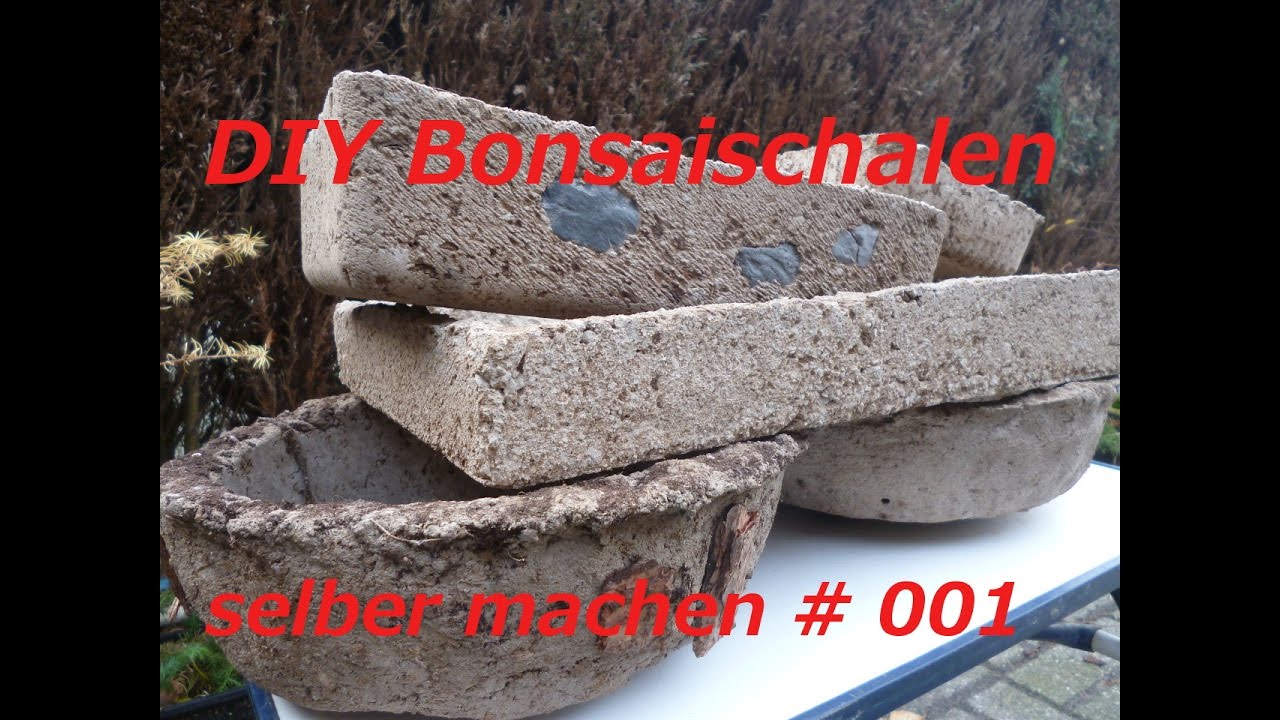 DIY Bonsaischale aus Beton selber machen