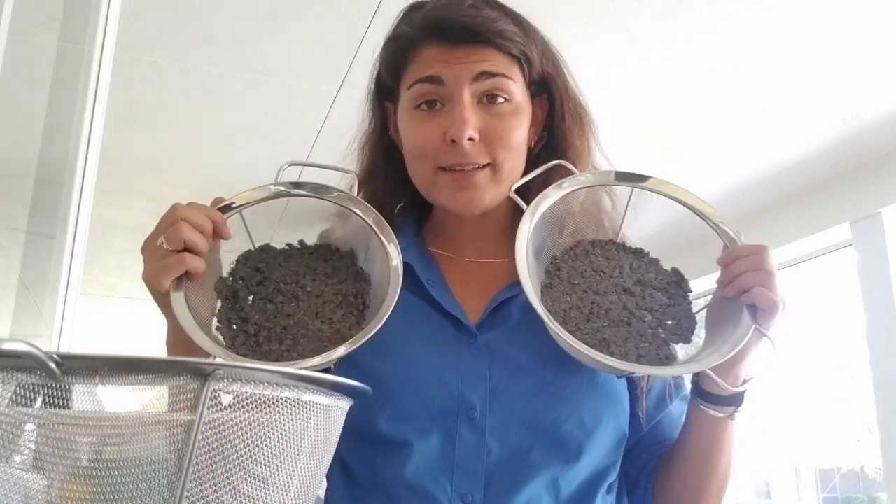 How to Make Seed Paper
