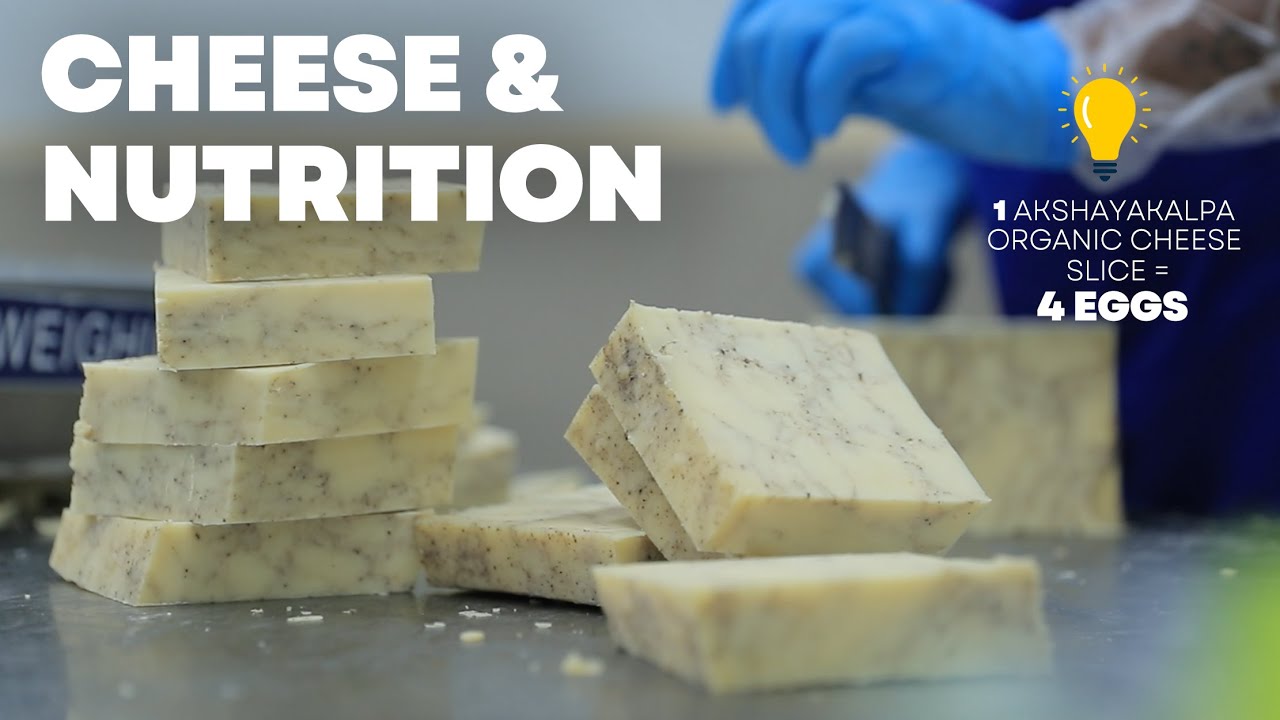 What makes Akshayakalpa Organic cheese truly awesome!