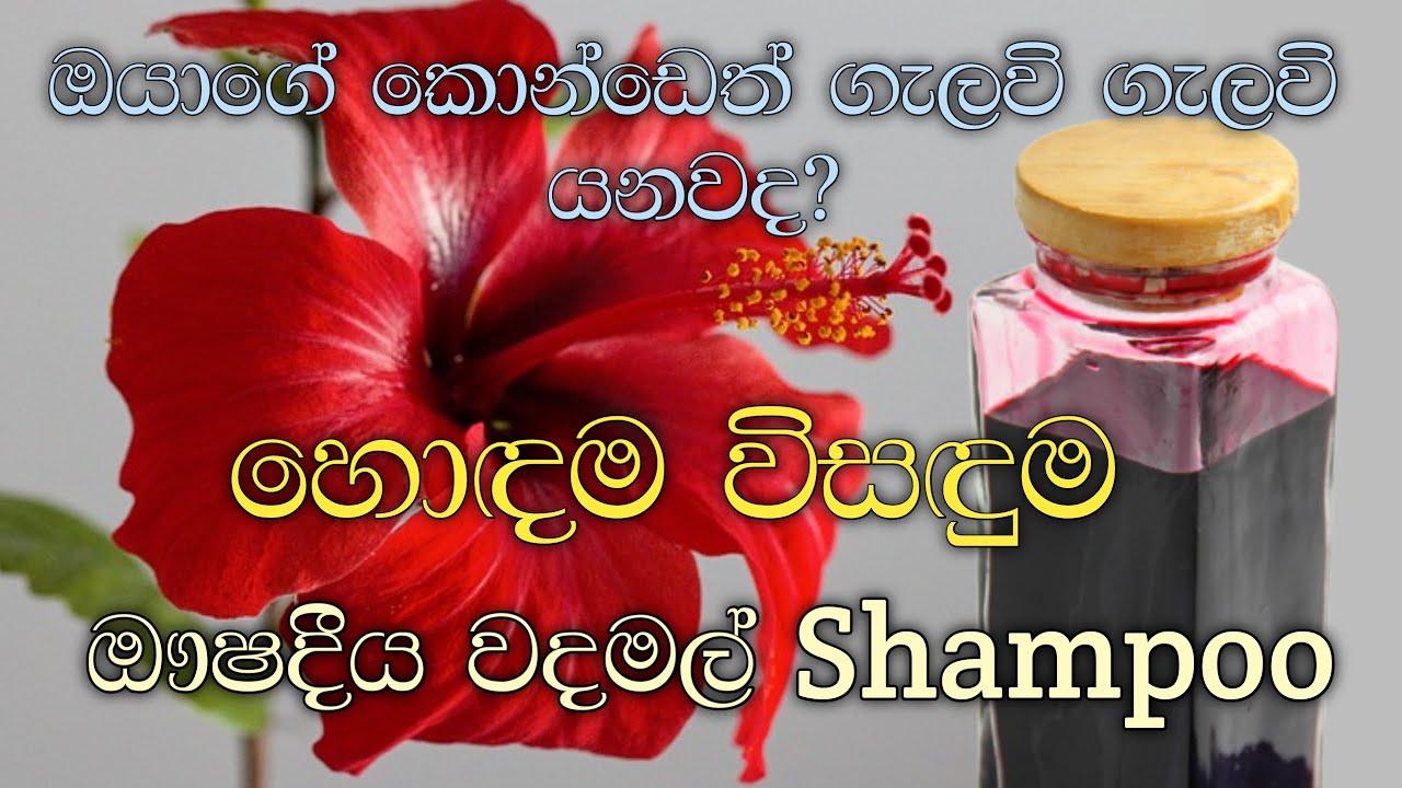කොන්ඩෙ යන එක ඉක්මනින් නැති කරන වදමල් Shampoo / Homemade hibiscus shampoo for hair fall
