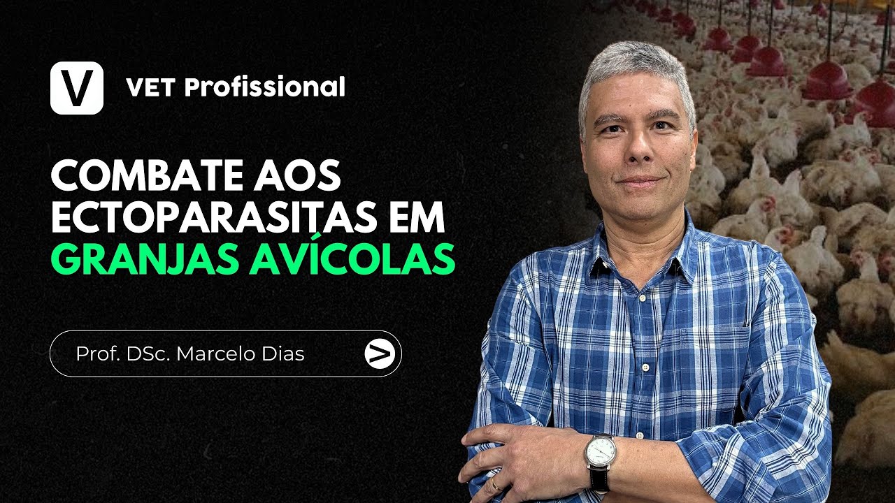 Combate aos Ectoparasitas em Granjas Avícolas | VET Profissional