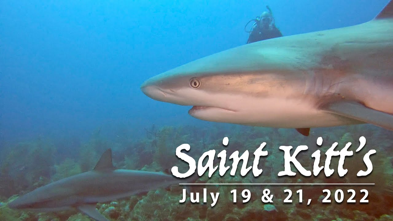 2022 Saint Kitts Dives