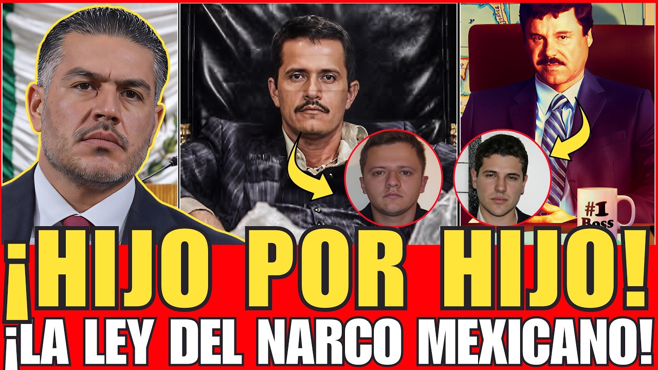 ¡GUERRA ENTRE PADRES! | HARFUCH CONFIRMA LA VERDAD SOBRE EL SECUESTRO DE LOS CHAPITOS