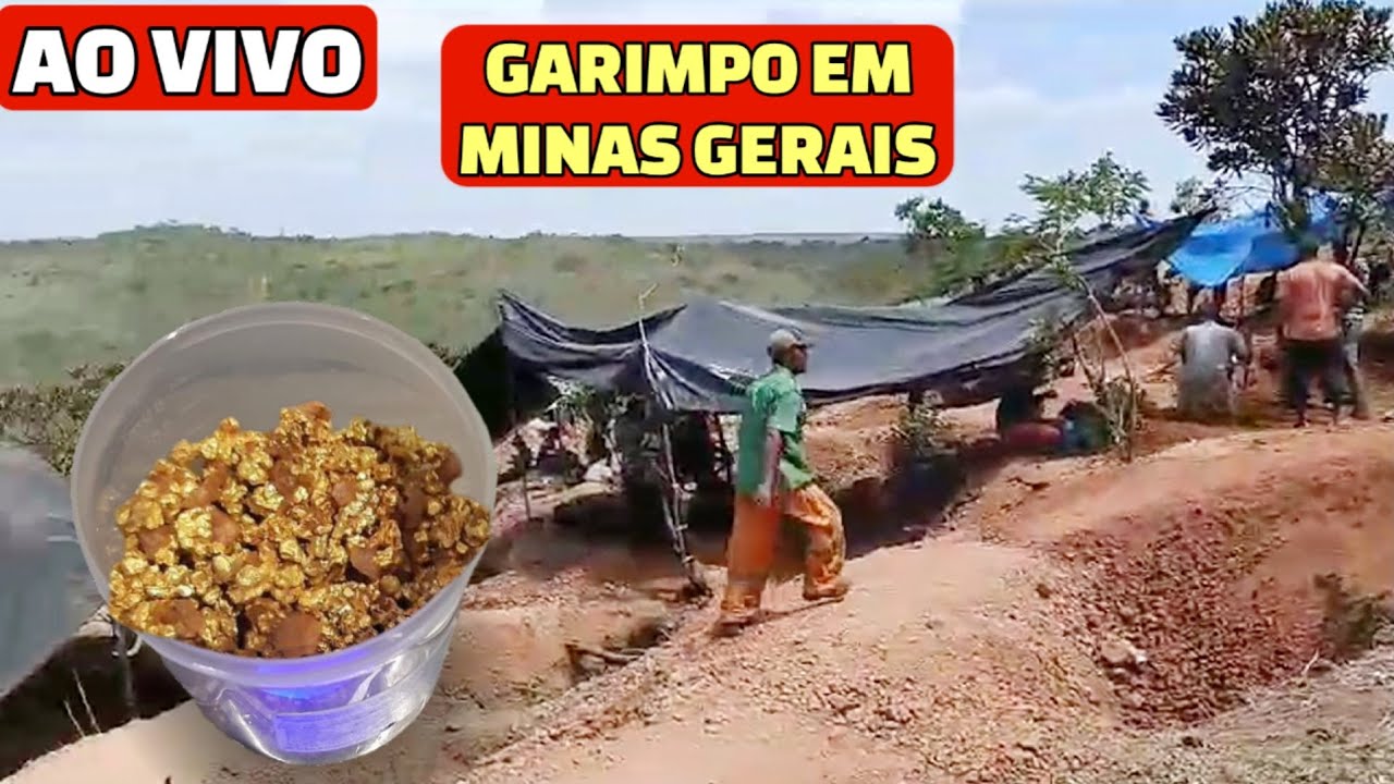NOVA DESCOBERTA DE OURO EM MINAS GERAIS | ●GARIMPO ILEGAL●
