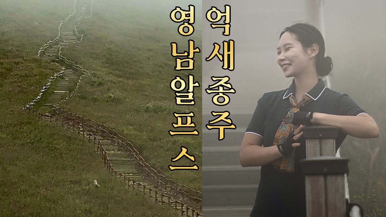 영남알프스의 은빛 물결, 영축산~신불산~간월재 억새 종주 l 100대명산 l 낙동정맥