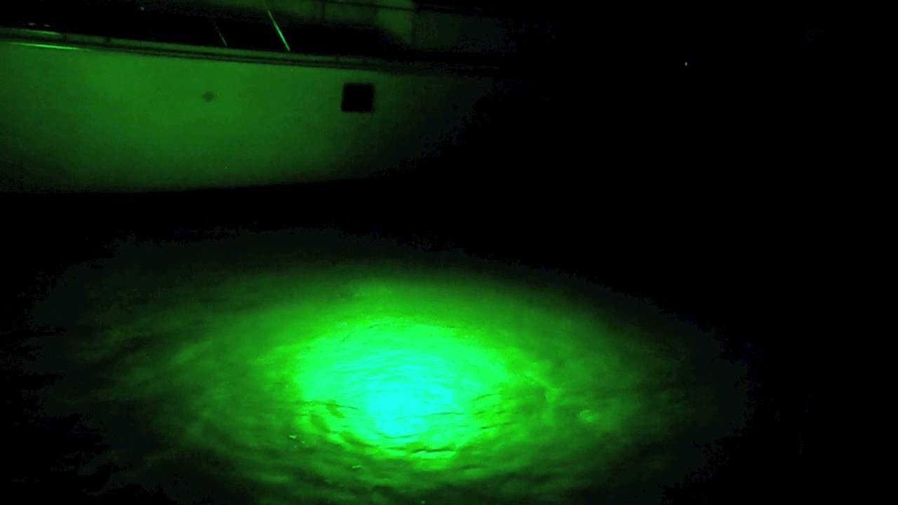 LOOMISLED DOCK LIGHT VIDEO