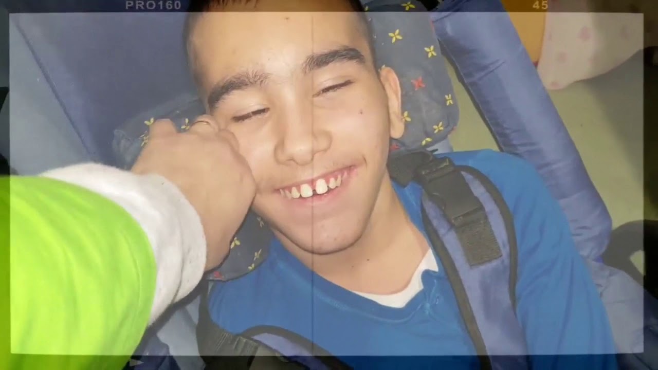Felices Fiestas