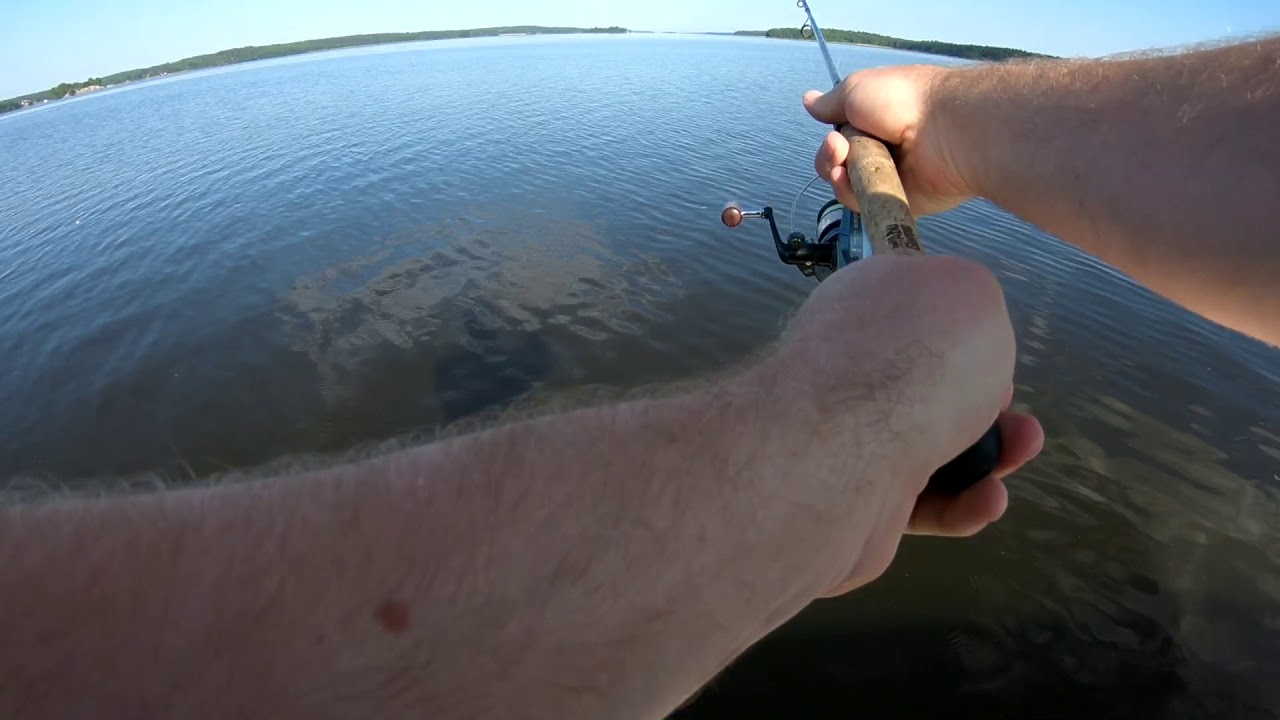 Jagar abborre med dropshot
