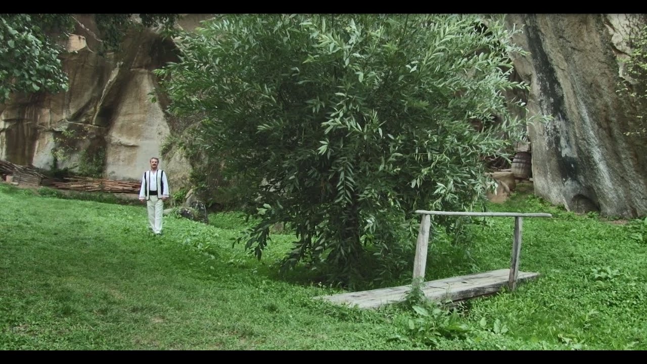 Mitică Tavă - Mândra mea, draga mea