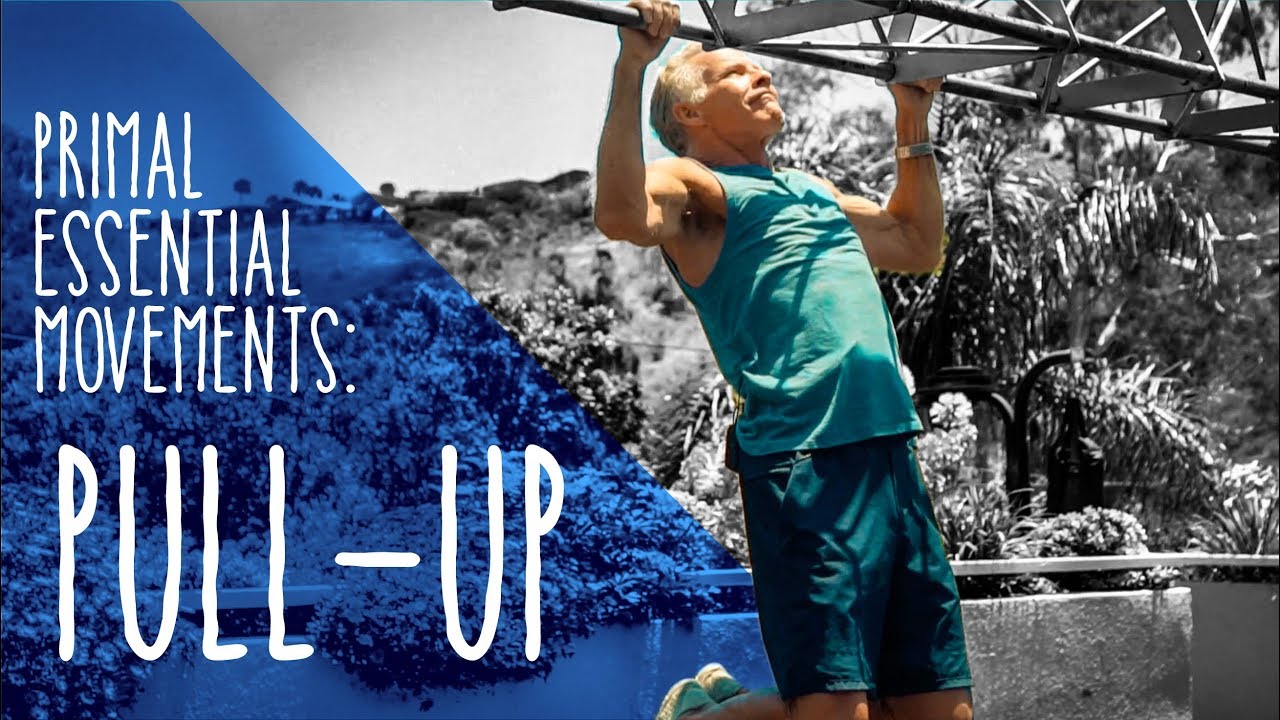 Primal Essential Movement: Pull-Up