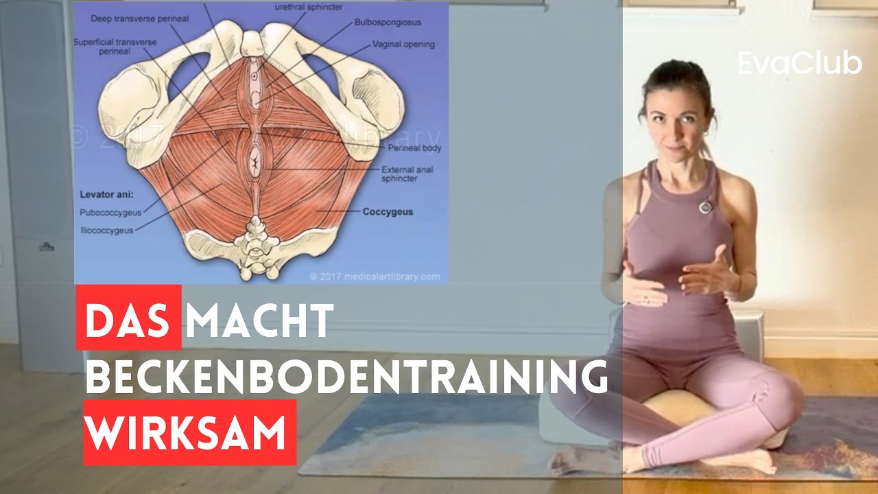 Beckenbodentraining richtig verstehen – die 3 Schichten fühlen & aktivieren