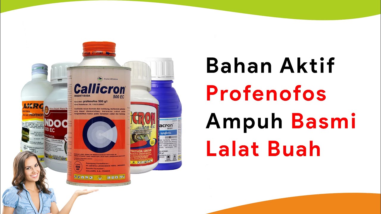 5 Insektisida Bahan Aktif Profenofos, Ampuh Usir dan Cegah Lalat Buah Sampai Ke Larvanya