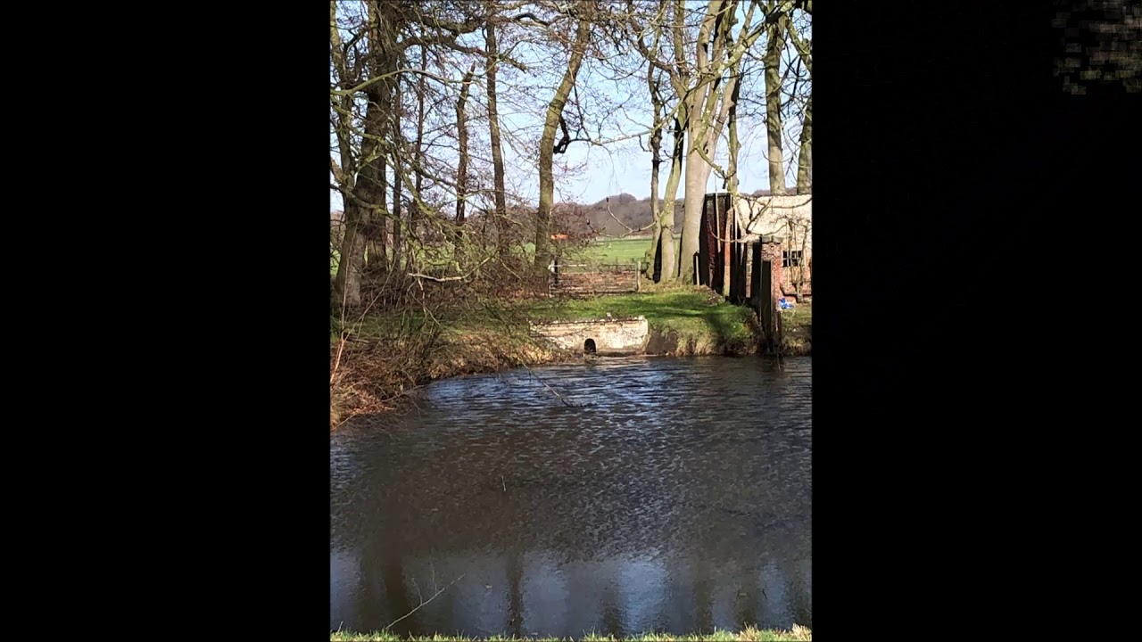 Landgoed Vogelenzang 07 03 2019