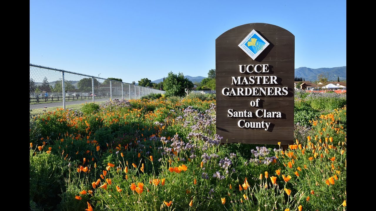 About Master Gardeners of Santa Clara County