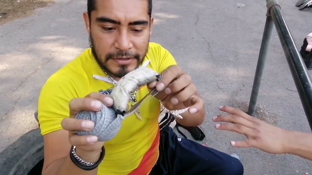 Tutorial definitivo vendajes para boxeo