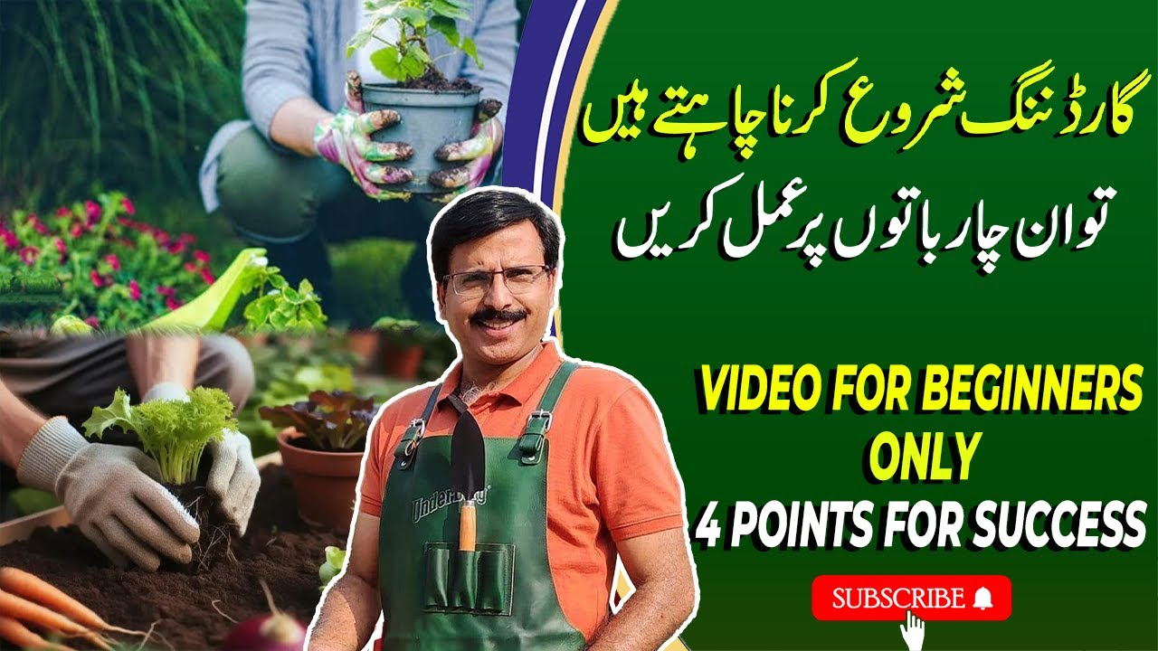 Basic Guidelines For Beginners To Start Gardening | Gardening With Javed Iqbal