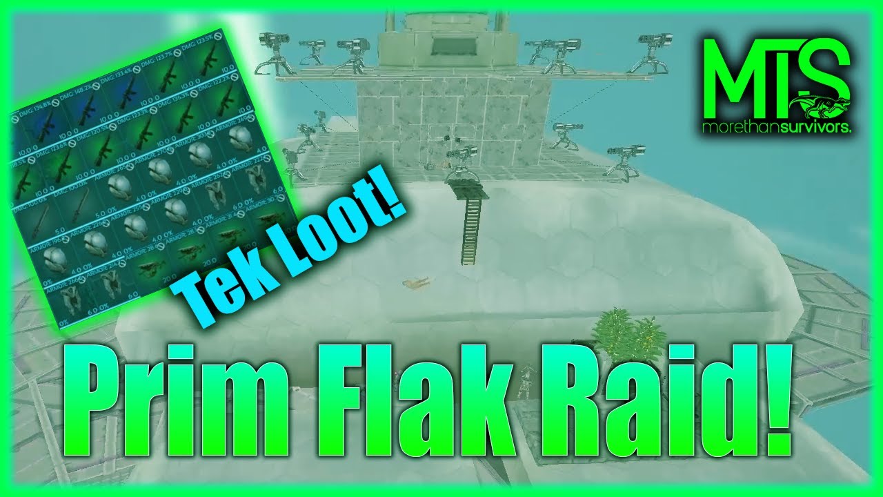 Raiding With Prim Flak | MTS Season 5 | Ac1dict