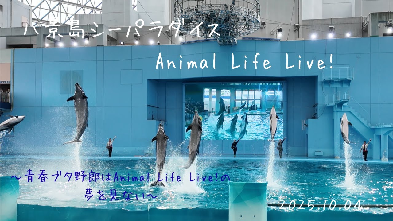 八景島シーパラダイス 青春ブタ野郎はAnimal Life Live!の夢を見ない ペンギン イルカ パフォーマンス イルカショー
