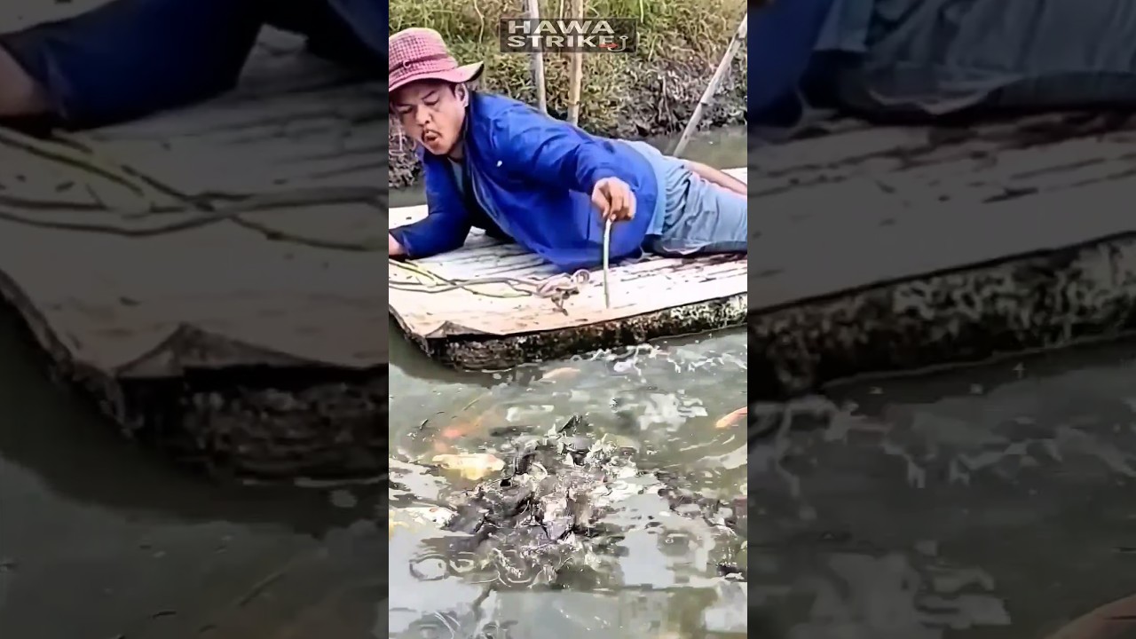 GOD'S HANDS‼️ Feeding Fish with Just a Twig, The Result is SHOCKING! 🐟 #shorts #fish #fishing